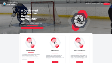 Direct Motion Goaltending screenshot
